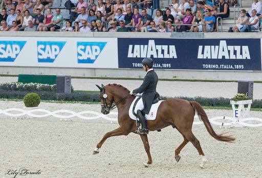 Grandes resultados por parte de jinetes y amazonas navarros en Campeonatos Internacionales